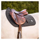 Samshield Spineshield Zadeldek Swarovski Zadeldoeken - Maddelin Equestrian Samshield