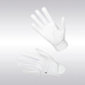 Samshield V - Skin Handschoenen Handschoenen - Maddelin Equestrian Samshield