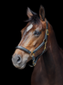 LJ Leathers Lederen halster Fancy