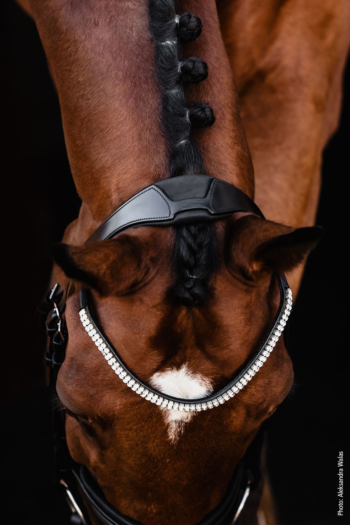 Schockemöhle SP Isabell Werth Johnny Hoofdstel Anatomisch Trenshoofdstellen - Maddelin Equestrian Schockemohle