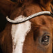 Schockemöhle SP Isabell Werth Johnny Hoofdstel Anatomisch Trenshoofdstellen - Maddelin Equestrian Schockemohle