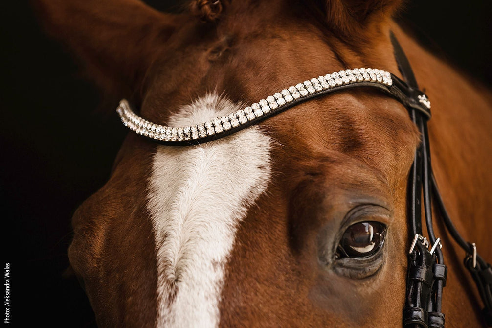 Schockemöhle SP Isabell Werth Johnny Hoofdstel Anatomisch Trenshoofdstellen - Maddelin Equestrian Schockemohle