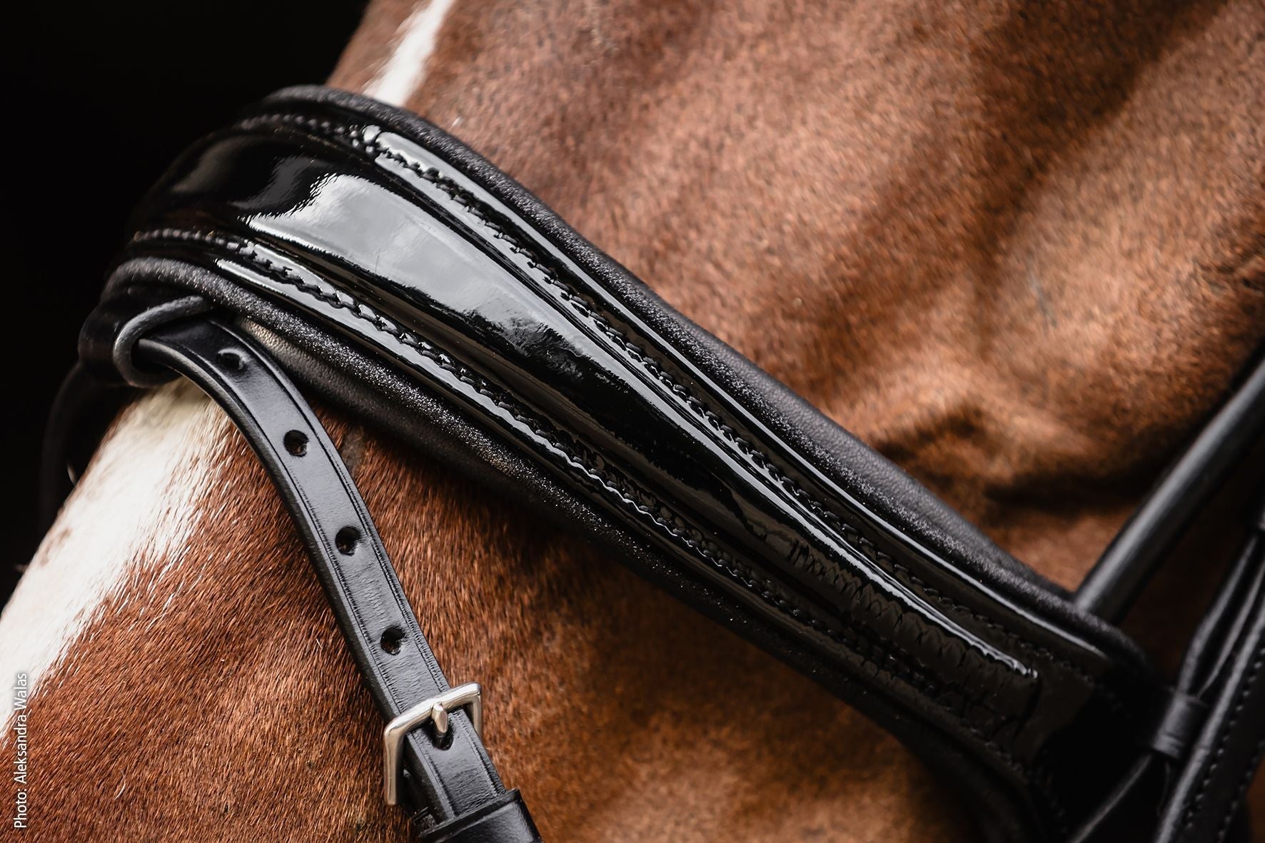 Schockemöhle Hoofdstel SP Isabell Werth Satchmo Trenshoofdstellen - Maddelin Equestrian Schockemohle