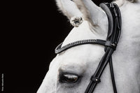 Schockemöhle Hoofdstel SP Isabell Werth Satchmo Trenshoofdstellen - Maddelin Equestrian Schockemohle