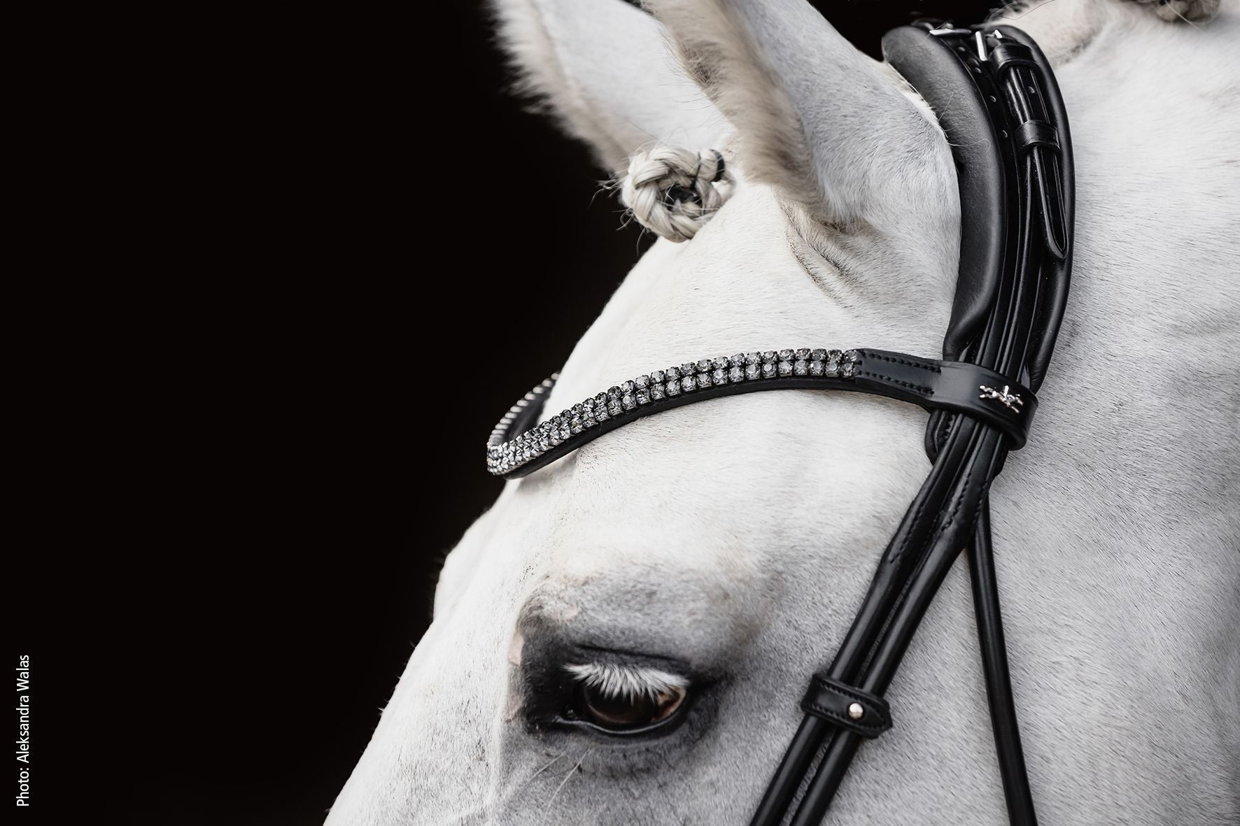 Schockemöhle Hoofdstel SP Isabell Werth Satchmo Trenshoofdstellen - Maddelin Equestrian Schockemohle