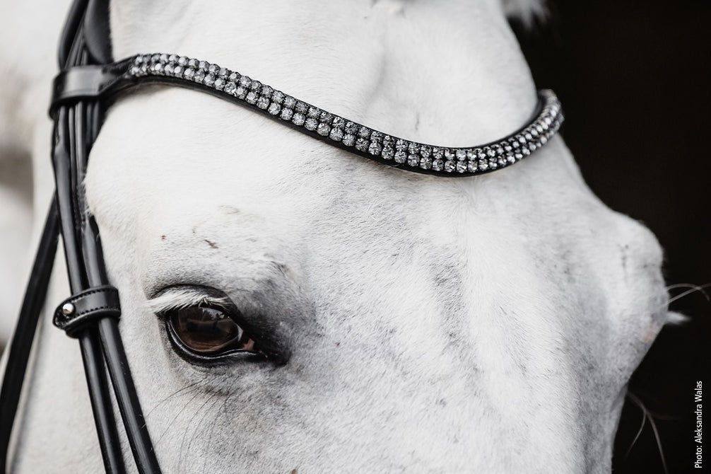 Schockemöhle Hoofdstel SP Isabell Werth Satchmo Trenshoofdstellen - Maddelin Equestrian Schockemohle