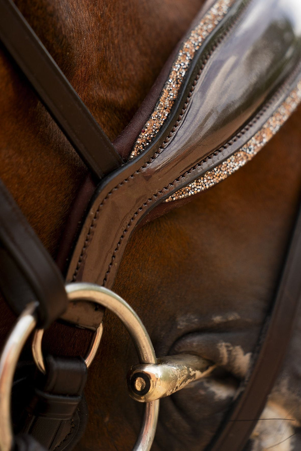 Schockemöhle Sports SP Luxury Dressage Trenshoofdstellen - Maddelin Equestrian