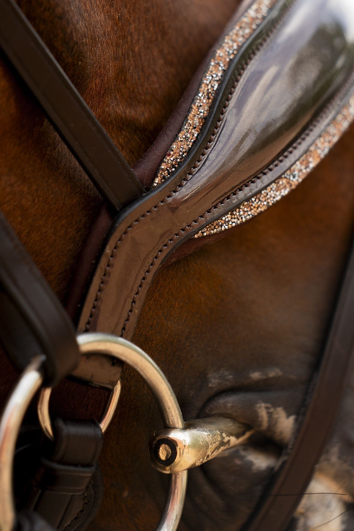 Schockemöhle Sports SP Luxury Dressage Trenshoofdstellen - Maddelin Equestrian