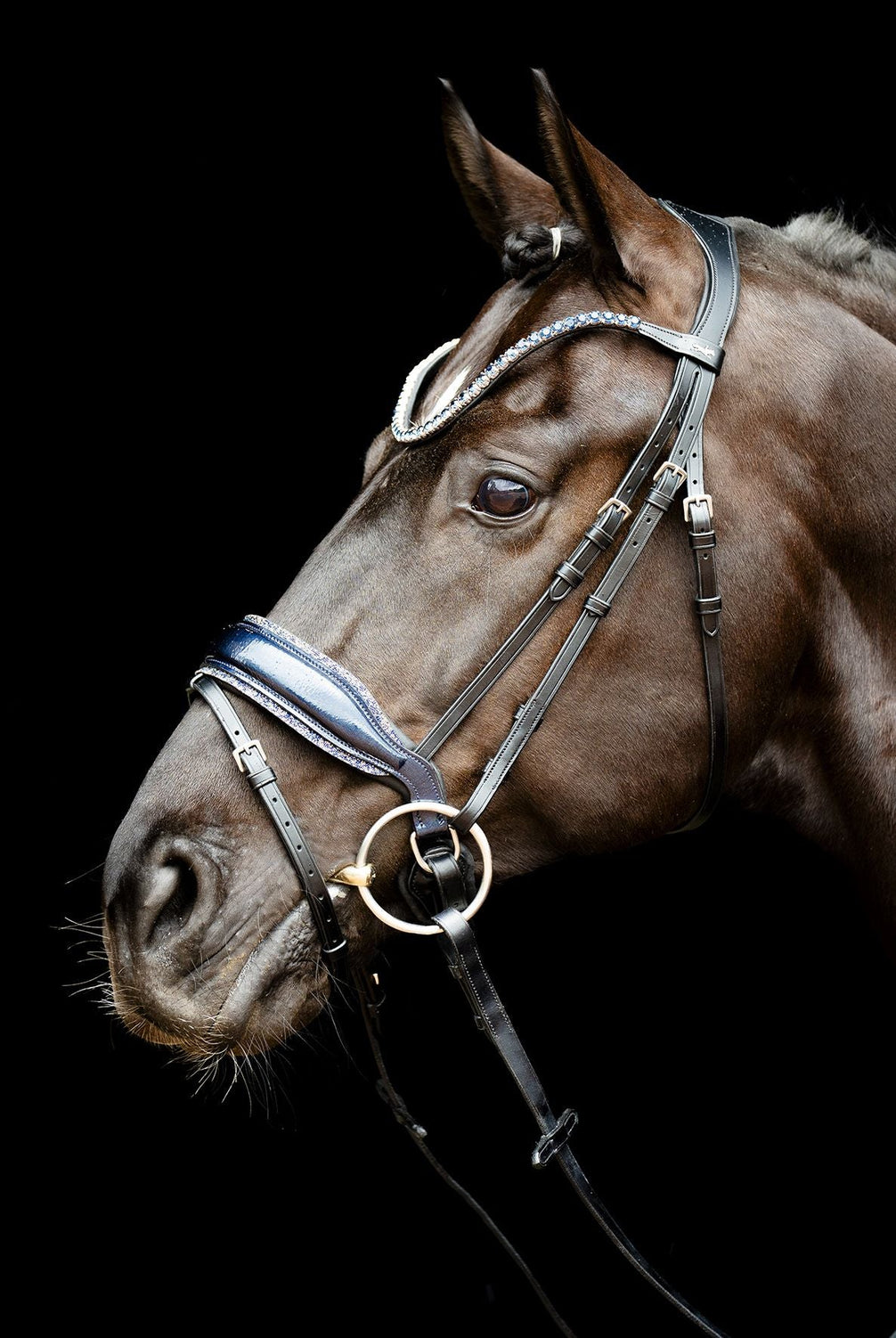 Schockemöhle Sports SP Luxury Dressage Trenshoofdstellen - Maddelin Equestrian