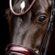 Schockemöhle Sports SP Luxury Dressage Trenshoofdstellen - Maddelin Equestrian