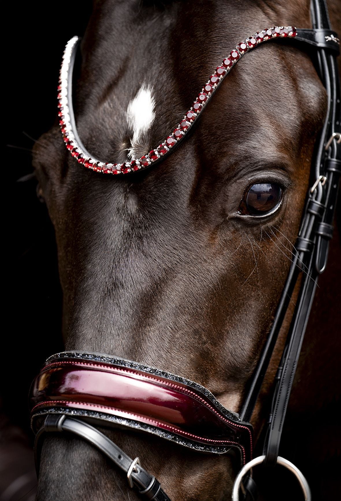 Schockemöhle Sports SP Luxury Dressage Trenshoofdstellen - Maddelin Equestrian