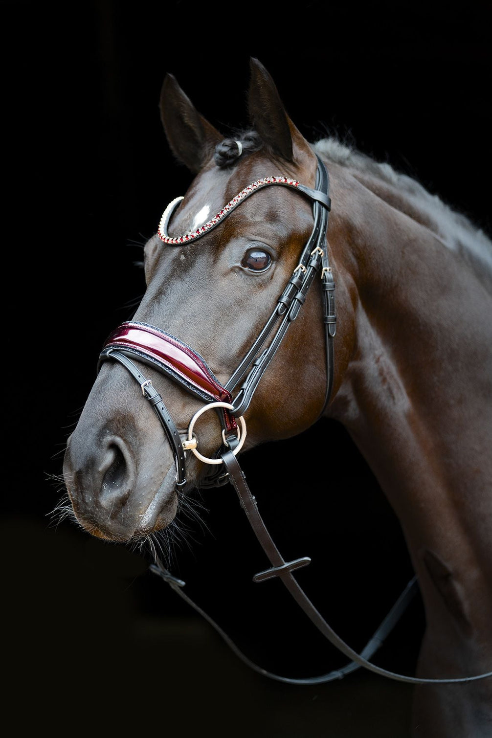 Schockemöhle Sports SP Luxury Dressage Trenshoofdstellen - Maddelin Equestrian