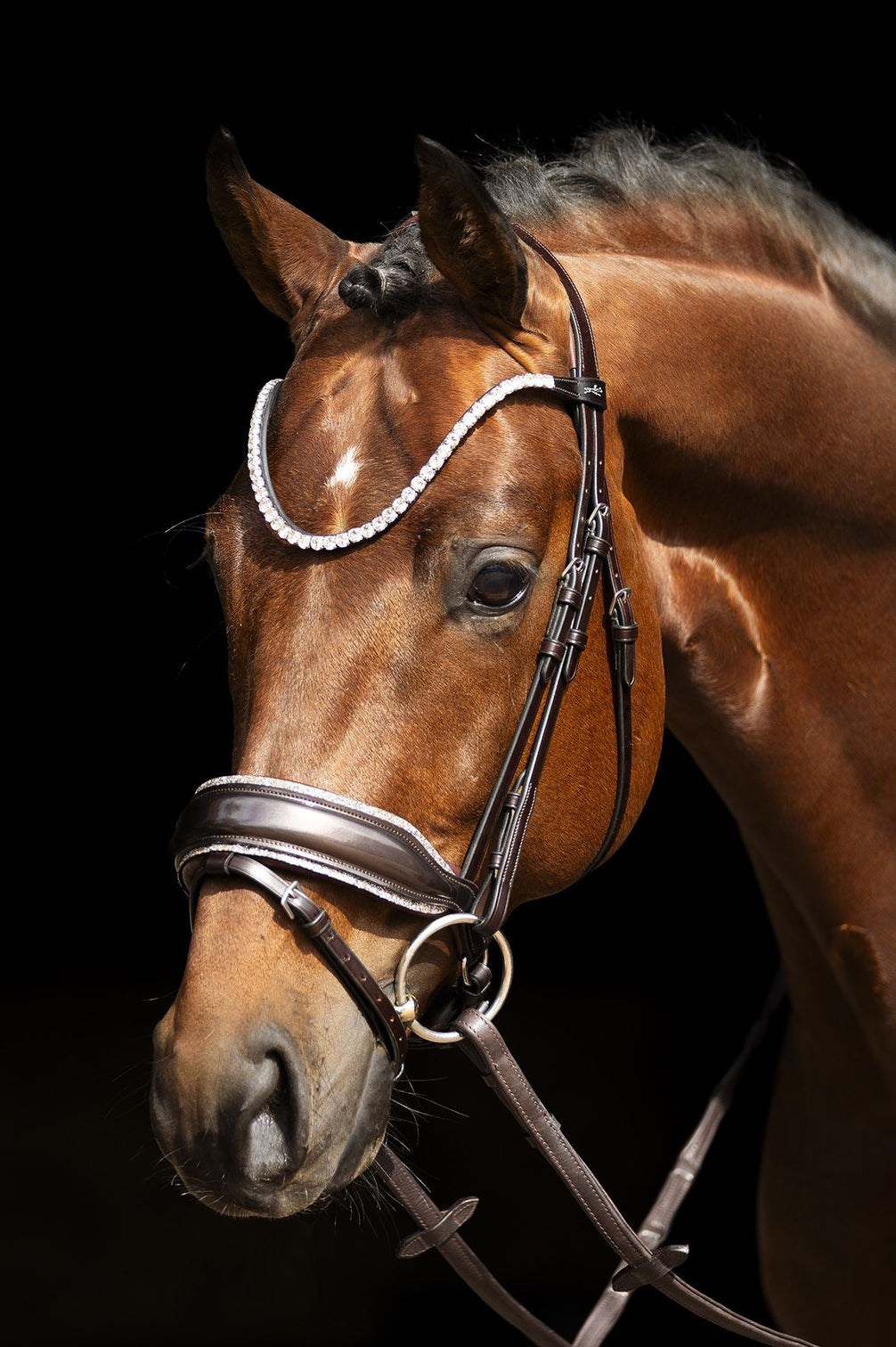 Schockemöhle Sports SP Luxury Dressage Trenshoofdstellen - Maddelin Equestrian