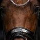 Schockemöhle Sports SP Luxury Dressage Trenshoofdstellen - Maddelin Equestrian