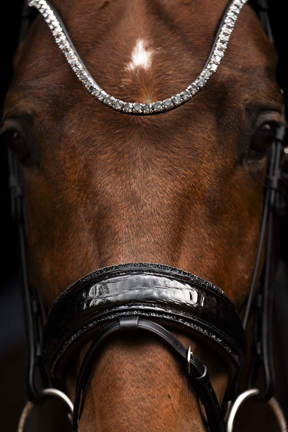 Schockemöhle Sports SP Luxury Dressage Trenshoofdstellen - Maddelin Equestrian