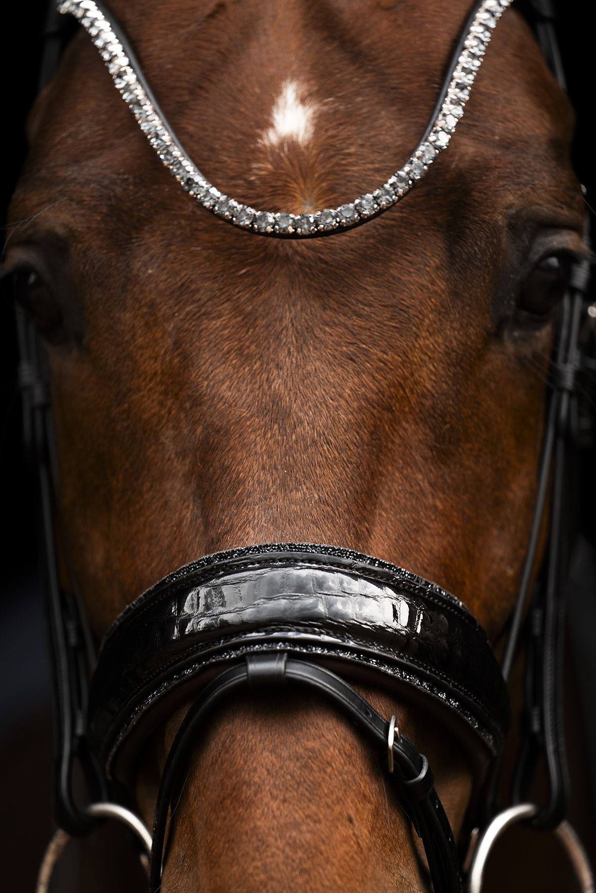 Schockemöhle Sports SP Luxury Dressage Trenshoofdstellen - Maddelin Equestrian