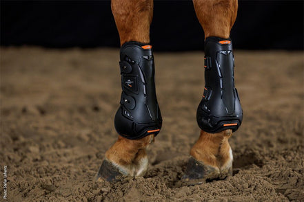 Schockemöhle Air Flow Champion Tendon Boots Peesbeschermers - Maddelin Equestrian Schockemohle