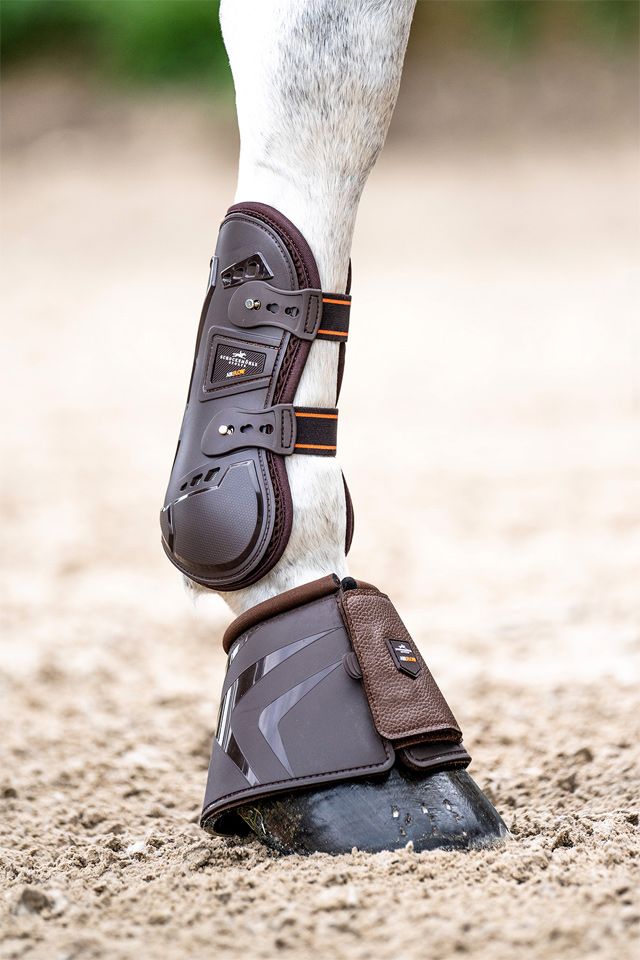 Schockemöhle Air Flow Champion Tendon Boots Peesbeschermers - Maddelin Equestrian Schockemohle