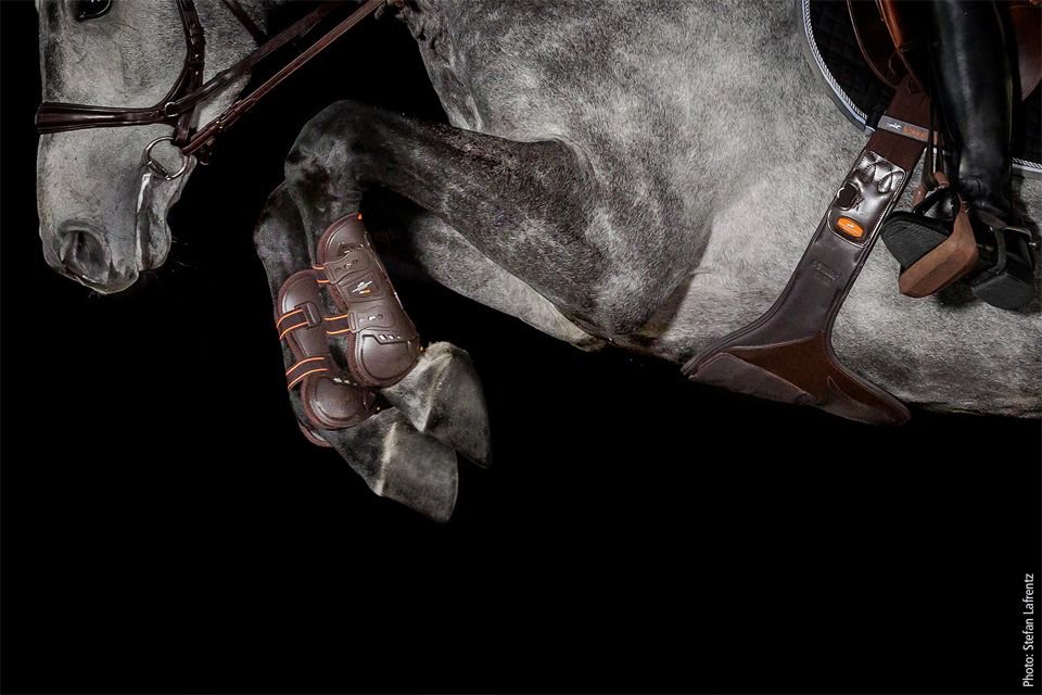 Schockemöhle Air Flow Champion Tendon Boots Peesbeschermers - Maddelin Equestrian Schockemohle