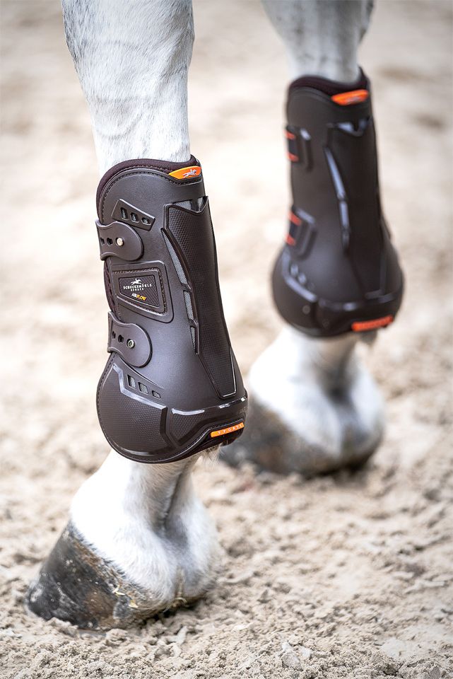 Schockemöhle Air Flow Champion Tendon Boots Peesbeschermers - Maddelin Equestrian Schockemohle