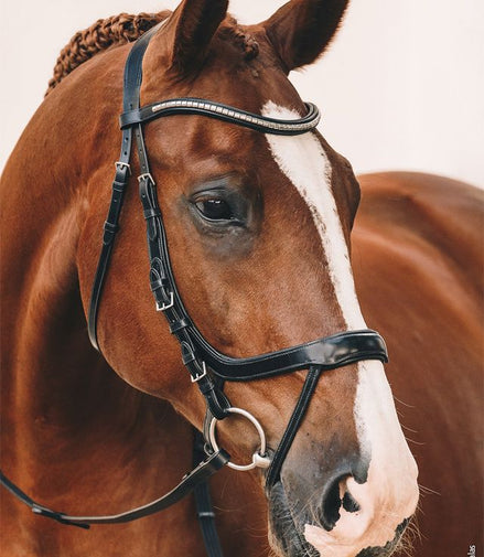 Schockemöhle Bakstukken Equitus Omega Trenshoofdstel Toebehoren hoofdstellen - Maddelin Equestrian Schockemohle