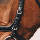 Schockemöhle Bakstukken Equitus Omega Trenshoofdstel Toebehoren hoofdstellen - Maddelin Equestrian Schockemohle