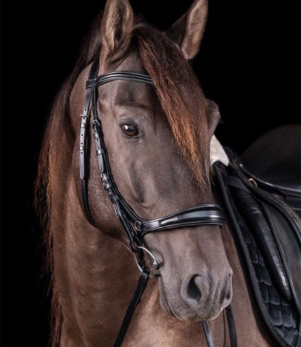 Schockemöhle Bakstukken Equitus Theta bitloos/trenshoofdstel Toebehoren hoofdstellen - Maddelin Equestrian Schockemohle