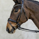 Schockemöhle Brantford Anatomical Hoofdstel Trenshoofdstellen - Maddelin Equestrian Schockemohle
