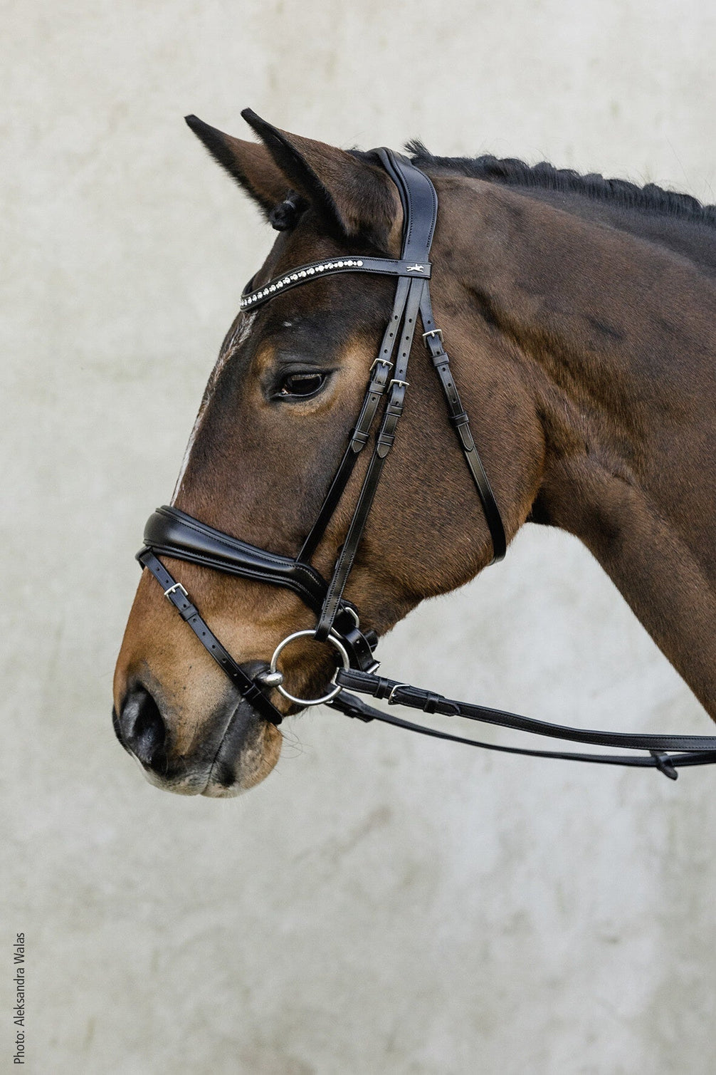 Schockemöhle Brantford Anatomical Hoofdstel Trenshoofdstellen - Maddelin Equestrian Schockemohle