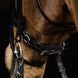 Schockemöhle Brantford Anatomical Hoofdstel Trenshoofdstellen - Maddelin Equestrian Schockemohle