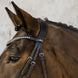Schockemöhle Brantford Anatomical Hoofdstel Trenshoofdstellen - Maddelin Equestrian Schockemohle