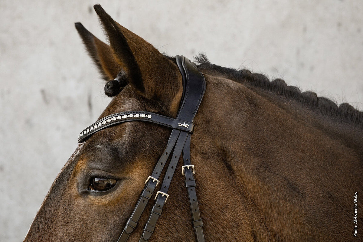 Schockemöhle Brantford Anatomical Hoofdstel Trenshoofdstellen - Maddelin Equestrian Schockemohle