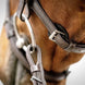 Schockemöhle Cape Town Select Trenshoofdstellen - Maddelin Equestrian Schockemohle
