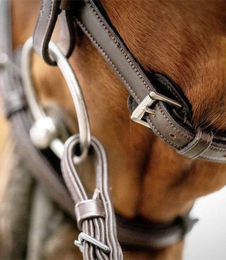 Schockemöhle Cape Town Select Trenshoofdstellen - Maddelin Equestrian Schockemohle