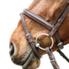Schockemöhle Cape Town Select Trenshoofdstellen - Maddelin Equestrian Schockemohle