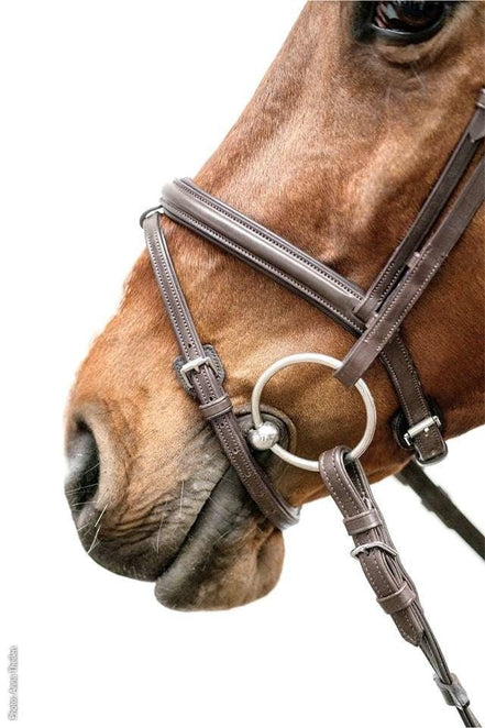 Schockemöhle Cape Town Select Trenshoofdstellen - Maddelin Equestrian Schockemohle