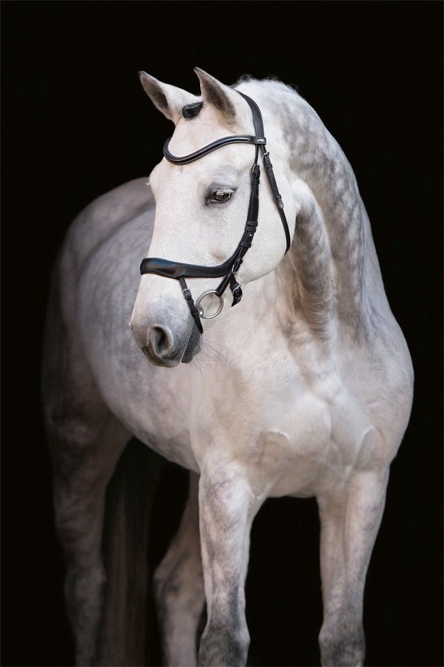 Schockemöhle Equitus Alpha Anatomical Special Hoofdstel Trenshoofdstellen - Maddelin Equestrian Schockemohle
