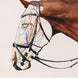 Schockemöhle Equitus Alpha Anatomical Special Hoofdstel Trenshoofdstellen - Maddelin Equestrian Schockemohle