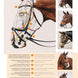 Schockemöhle Equitus Beta Glam Trenshoofdstellen - Maddelin Equestrian Schockemohle