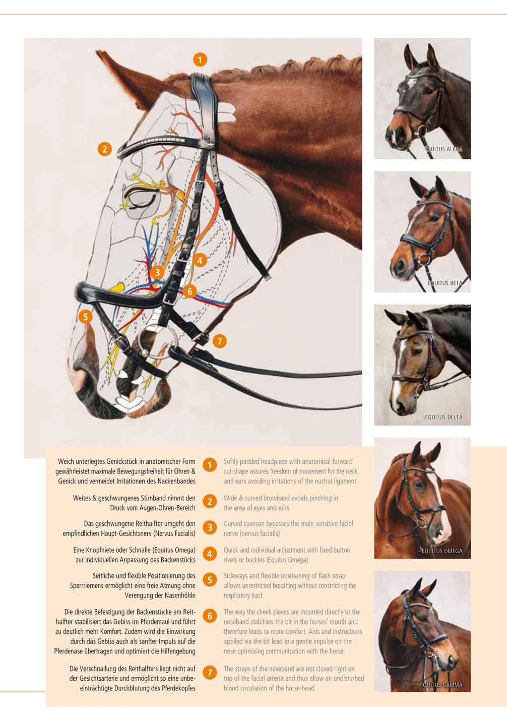 Schockemöhle Equitus Beta Glam Trenshoofdstellen - Maddelin Equestrian Schockemohle