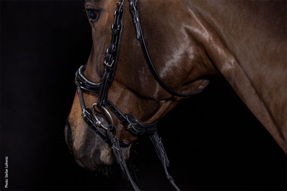 Schockemöhle Equitus Beta Glam Trenshoofdstellen - Maddelin Equestrian Schockemohle