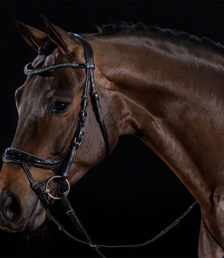 Schockemöhle Equitus Beta Glam Trenshoofdstellen - Maddelin Equestrian Schockemohle