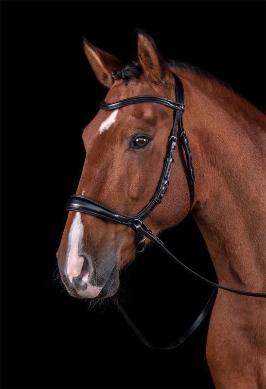 Schockemöhle Equitus Theta Bitloos - Maddelin Equestrian Schockemohle