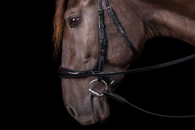 Schockemöhle Equitus Theta Bitloos - Maddelin Equestrian Schockemohle