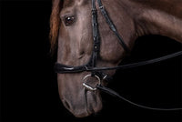 Schockemöhle Equitus Theta Bitloos - Maddelin Equestrian Schockemohle