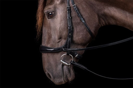 Schockemöhle Equitus Theta Bitloos - Maddelin Equestrian Schockemohle