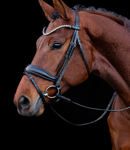 Schockemöhle Hoofdstel Siena Trenshoofdstellen - Maddelin Equestrian Schockemohle