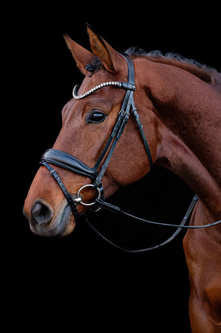 Schockemöhle Hoofdstel Siena Trenshoofdstellen - Maddelin Equestrian Schockemohle