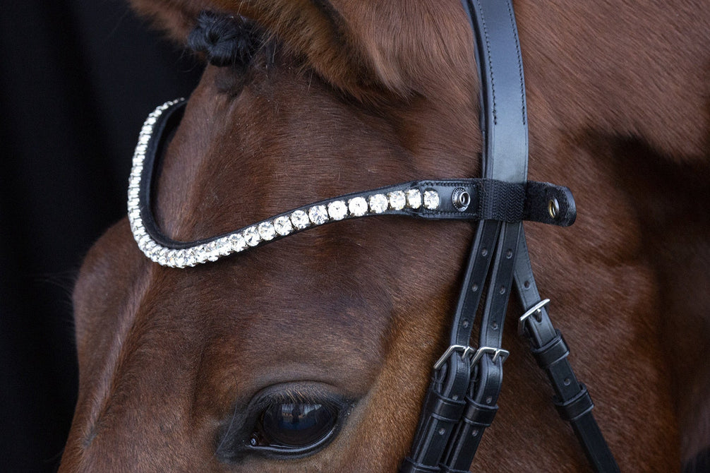 Schockemöhle Hoofdstel Siena Trenshoofdstellen - Maddelin Equestrian Schockemohle