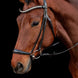 Schockemöhle Hoofdstel SP Pisa Trenshoofdstellen - Maddelin Equestrian Schockemohle